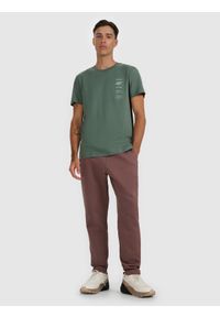4f - 4F T-shirt regular z nadrukiem męski - zielony XXL. Okazja: na co dzień. Kolor: zielony. Materiał: bawełna. Długość: długie. Wzór: nadruk. Styl: casual