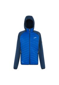 Regatta - Męska Kurtka Hybrydowa Andreson. Kolor: niebieski, wielokolorowy, zielony. Materiał: puch. Sport: turystyka piesza #1