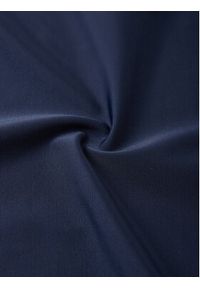 Reima Szorty kąpielowe Palahdus 5200135A Granatowy Regular Fit. Kolor: niebieski. Materiał: syntetyk