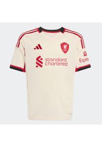 Adidas - Koszulka piłkarska dla dzieci ADIDAS Liverpool FC sezon 25/26 wyjazdowa. Sport: piłka nożna