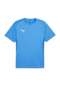Koszulka męska Puma TeamGoal Jersey. Kolor: niebieski. Materiał: jersey. Sport: fitness #1