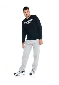 LEONE 1947 APPAREL - Męskie spodnie dresowe Leone Urban. Kolor: szary. Materiał: dresówka. Sport: fitness
