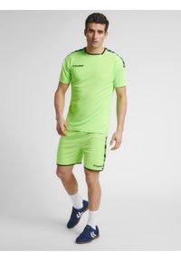 Jersey Hummel hmlAUTHENTIC Poly HML. Kolor: zielony. Materiał: jersey. Sport: fitness, piłka nożna