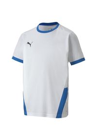 Koszulka dla dzieci Puma teamGOAL 23 Jersey. Kolor: niebieski, biały, wielokolorowy. Materiał: jersey