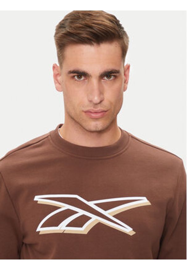 Reebok Bluza Vector Logo 100202412 Brązowy Regular Fit. Kolor: brązowy. Materiał: syntetyk, bawełna