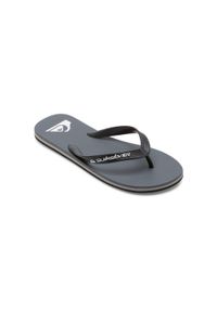 Quiksilver - Klapki dla Mężczyzn MOLOKAI CORE. Okazja: na plażę. Kolor: szary. Materiał: guma, syntetyk. Wzór: paski. Styl: sportowy