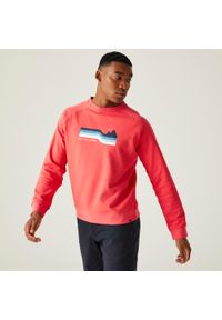 Regatta - Nithsdale męska bluza. Kolor: czerwony. Materiał: bawełna. Styl: sportowy, elegancki. Sport: turystyka piesza #1