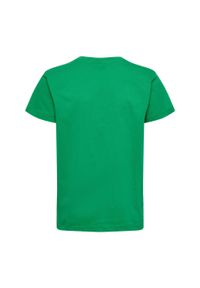 Koszulka dla dzieci Hummel Red Basic. Kolor: zielony. Materiał: bawełna. Długość rękawa: krótki rękaw. Długość: krótkie