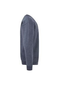 FRUIT OF THE LOOM - Sportowa Bluza Dziecięca Zwykła. Kolor: niebieski. Wzór: nadruk