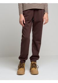 Big-Star - Spodnie dresowe dziewczęce brązowe Abeulita 804. Kolor: brązowy. Materiał: dresówka. Długość: długie. Sezon: wiosna, jesień, zima. Styl: klasyczny, elegancki #2