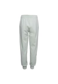 Hi-tec - Spodnie Do Joggingu Dziecięce Atrian. Kolor: zielony. Sezon: lato. Sport: bieganie