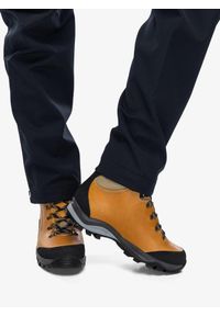 Buty trekkingowe damskie Zamberlan Marie GTX. Kolor: brązowy