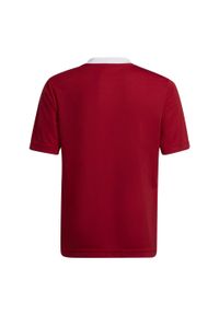 Adidas - Koszulka piłkarska dla dzieci adidas Entrada 22 Jersey. Kolor: czerwony. Materiał: jersey. Sport: piłka nożna