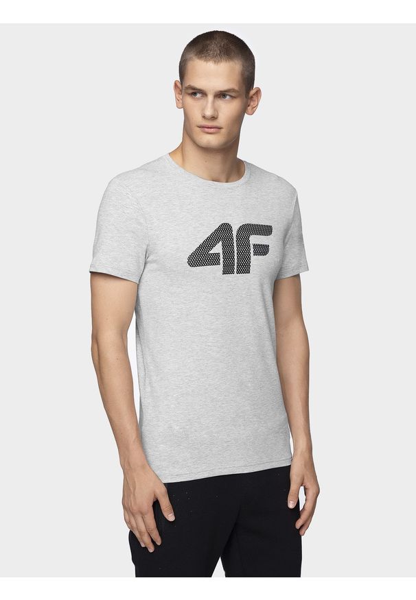 4f - T-Shirt męski. Kolor: szary