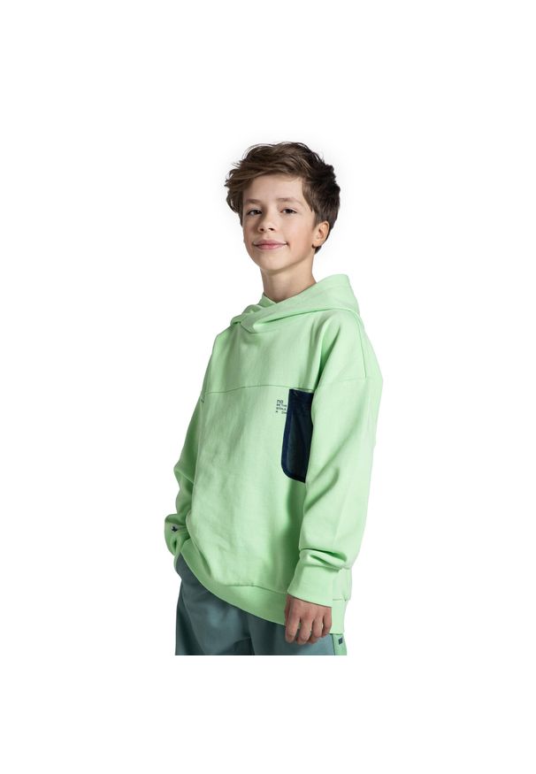 Lemon Explore - Bluza sportowa dziecięca Lemon Exlopre WL5. Typ kołnierza: kaptur. Kolor: zielony. Materiał: poliester, bawełna. Sport: turystyka piesza