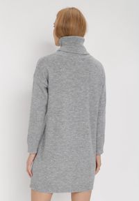 Born2be - Szara Sukienka Dzianinowa Classificator. Okazja: na co dzień. Typ kołnierza: golf. Kolor: szary. Materiał: dzianina. Długość rękawa: długi rękaw. Sezon: zima, jesień. Typ sukienki: proste. Styl: casual #4