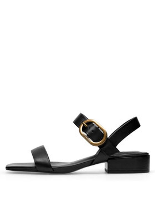 Gino Rossi Sandały TERANOVA-113494 Czarny. Kolor: czarny. Materiał: skóra