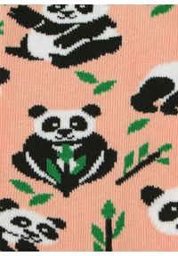 His Story - Skarpetki Bawełniane - Tematyczne - Panda i Pędy Bambusa. Kolor: wielokolorowy. Materiał: elastan, bawełna, poliamid #3