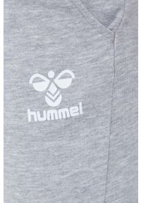Hummel spodnie dresowe kolor szary z nadrukiem. Kolor: szary. Materiał: dresówka. Wzór: nadruk #2