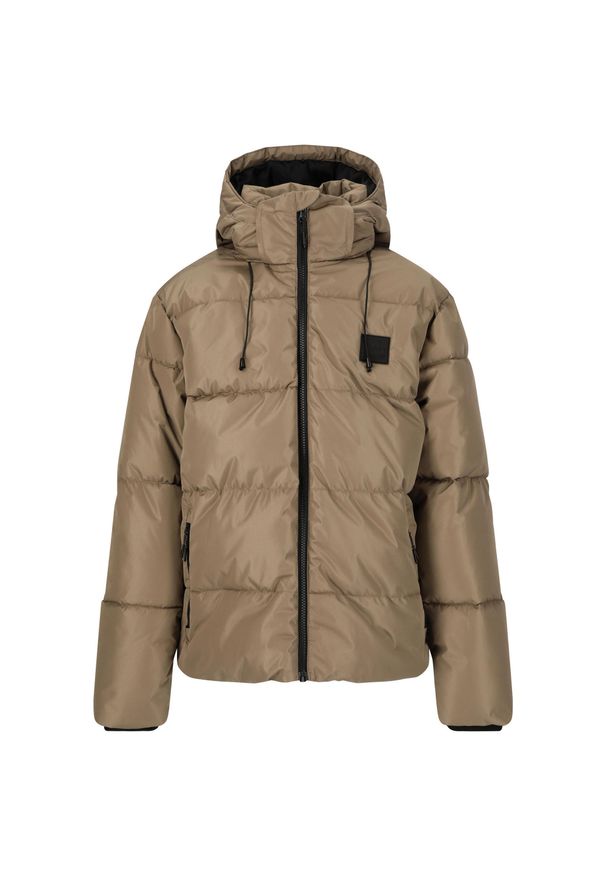 Kurtka dziecięca z kapturem Whistler Pearson. Typ kołnierza: kaptur. Kolor: szary, wielokolorowy, brązowy. Materiał: puch. Sezon: zima