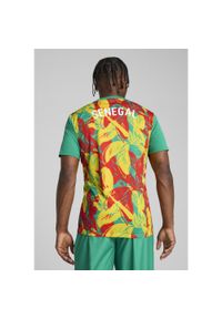 Puma - Męska koszulka przedmeczowa Senegal 2025 PUMA Sport Green Faster Yellow Red. Kolor: żółty, czerwony, wielokolorowy, zielony
