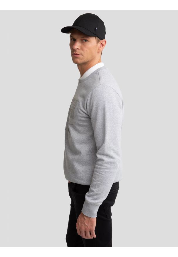 Big-Star - Bluza męska z nadrukiem szara Ecodort 902. Okazja: na co dzień. Kolor: szary. Materiał: bawełna. Wzór: nadruk. Styl: klasyczny, sportowy, casual