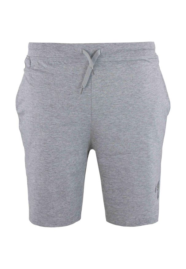 ZFOAM - Szorty męskie Glemo ATHL DPT 100% bawełna — Foggy Blue. Kolor: szary, niebieski, wielokolorowy, biały. Materiał: bawełna. Sport: fitness, turystyka piesza
