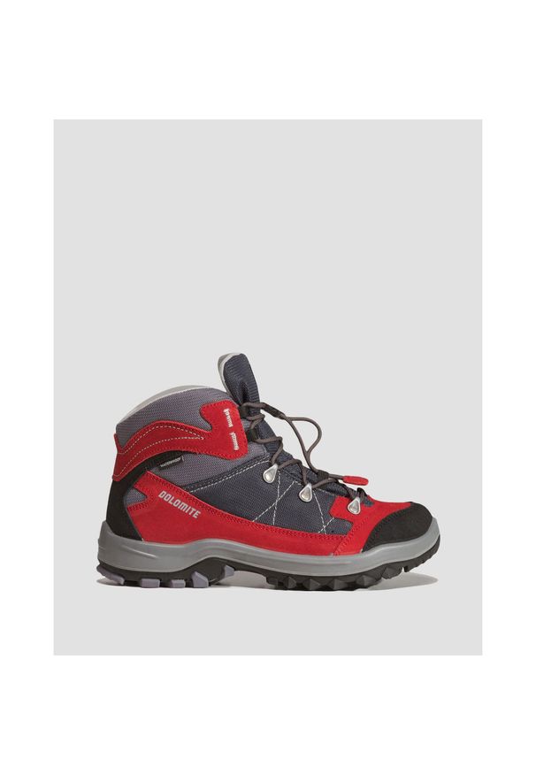 Buty trekkingowe dziecięce Dolomite Davos Waterproof. Kolor: szary. Sport: turystyka piesza