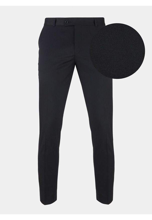 Pako Lorente - Spodnie męskie garniturowe FENREI PLM-6G-195-C. Materiał: poliester, wiskoza. Wzór: gładki. Styl: elegancki