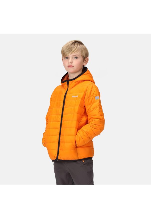 Marizion Regatta dziecięca turystyczna kurtka pikowana z kapturem. Typ kołnierza: kaptur. Kolor: pomarańczowy