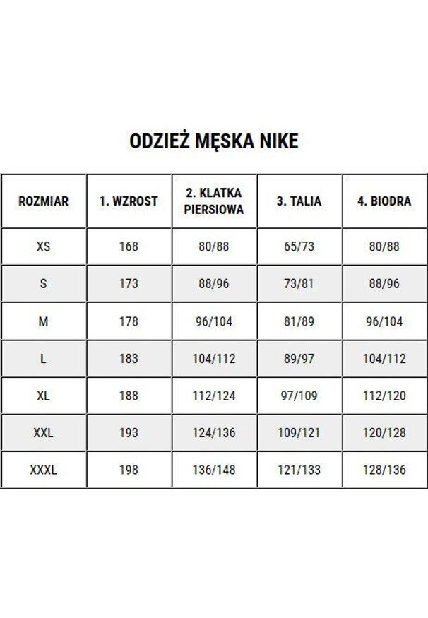 Bluza bramkarska męska Nike Dry Park IV JSY LS GK. Kolor: zielony