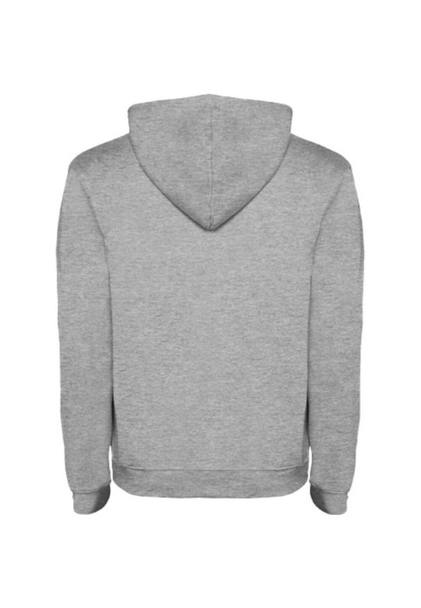 ROLY - Męska Bluza Z Kapturem Urban. Typ kołnierza: kaptur. Kolor: szary