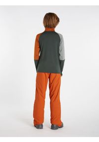 Bluza dziecięca Protest PRTNANNO JR 1/4 zip top. Kolor: zielony