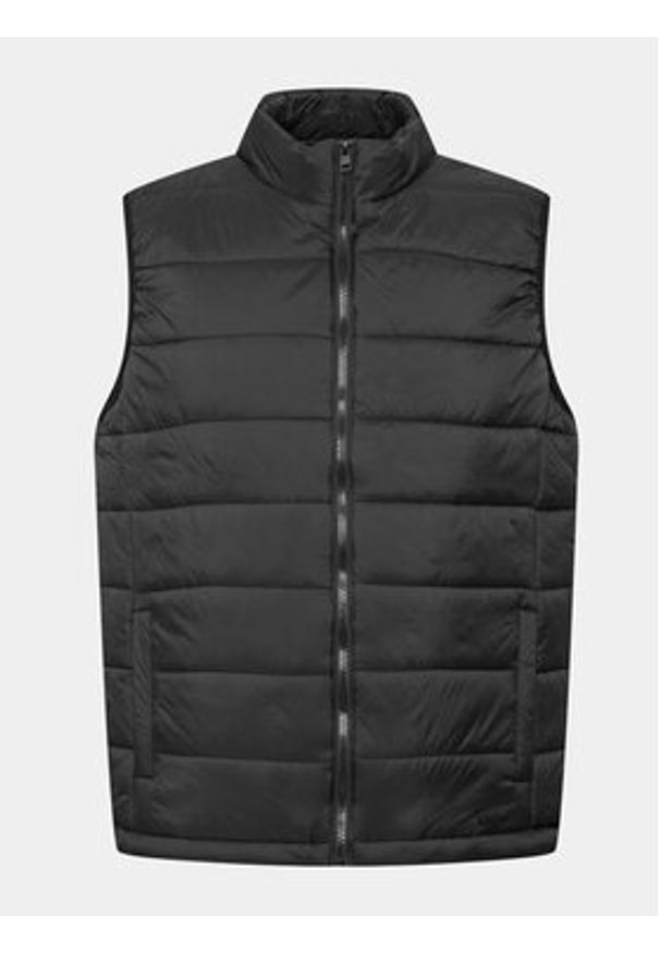 Sprandi Kamizelka SP3-KAM010 Czarny Regular Fit. Kolor: czarny. Materiał: syntetyk