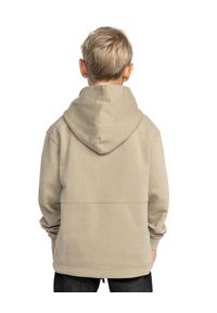 DC Shoes - Bluza z kapturem dla Chłopcy MORTAR Beżowy. Typ kołnierza: kaptur. Kolor: beżowy. Materiał: materiał, bawełna. Sport: skateboard
