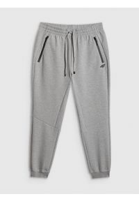 4f - 4F Spodnie dresowe joggery męskie - szare XL. Kolor: szary. Materiał: dresówka #1