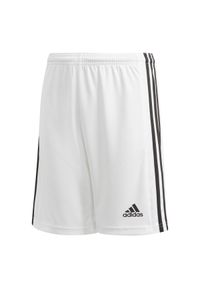 Adidas - Spodenki treningowe dla dzieci adidas Squadra 21 Short Youth. Kolor: biały, wielokolorowy, czarny