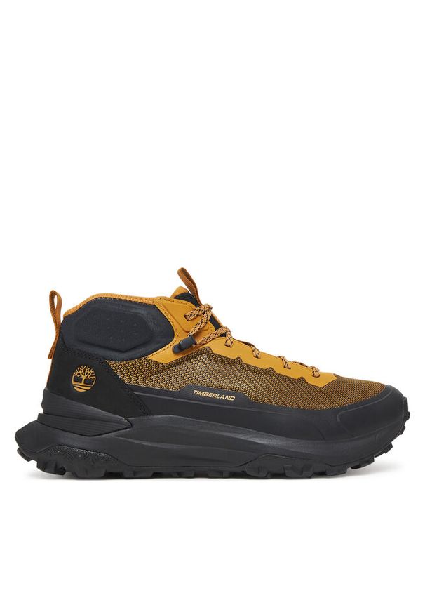 Sneakersy Timberland. Kolor: czarny