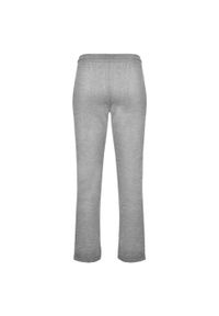 ROLY - Spodnie Unisex Dla Dorosłych New Astun. Kolor: szary. Sezon: lato. Sport: turystyka piesza