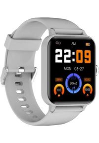 Smartwatch Blackview R30 Szary. Rodzaj zegarka: smartwatch. Kolor: szary