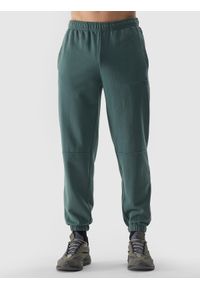 4f - Spodnie dresowe joggery męskie - oliwkowe. Kolor: brązowy, wielokolorowy, oliwkowy. Materiał: dresówka. Wzór: gładki, ze splotem, nadruk
