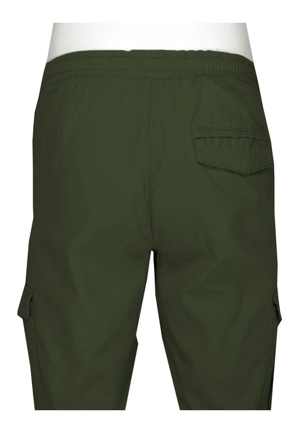 Brave Soul - Spodnie JOGGERY Zielone, Khaki, Męskie, Bojówki, Bawełniane, Casualowe, Zwężana Nogawka -BRAVE SOUL. Okazja: na co dzień. Kolor: zielony, brązowy, wielokolorowy. Materiał: bawełna. Styl: casual