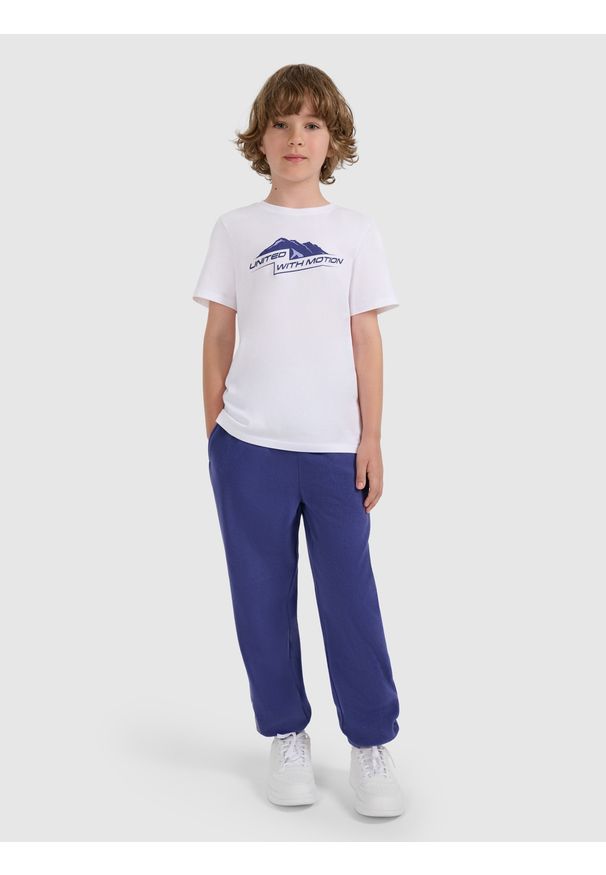 4f - 4F Spodnie polarowe chłopięce - granatowe 164 (13-14 lat). Okazja: na co dzień. Kolor: niebieski. Materiał: polar. Sezon: lato. Styl: casual