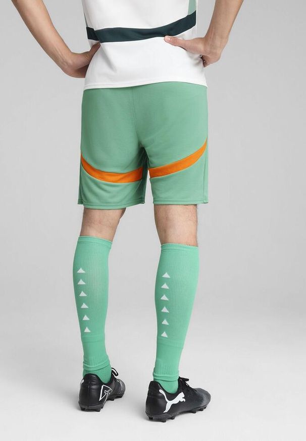 Puma - Męskie szorty Wybrzeże Kości Słoniowej 2025 PUMA Jade Frost White Green. Kolor: biały