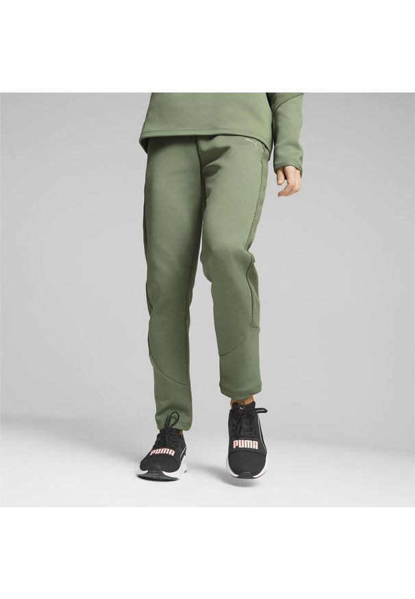Puma Spodnie Evostripe Hw 67607544. Kolor: zielony, wielokolorowy, szary