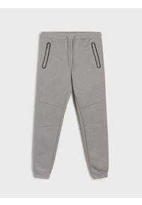Sinsay - Sportowe spodnie dresowe z przeszyciami - szary. Kolor: szary. Materiał: dresówka. Styl: sportowy