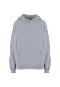 Bluza damska z kapturem Urban Classics Loose Brushed. Typ kołnierza: kaptur. Kolor: szary #1