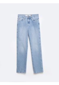 Big-Star - Jeansy damskie z prostą nogawką jasnoniebieskie Myrra 113. Kolor: niebieski. Długość: krótkie. Styl: klasyczny #8