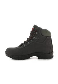Buty trekkingowe damskie Chiruca Gredos Supra 05. Kolor: szary