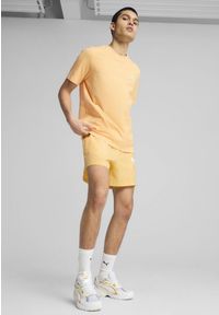 Puma - Męska koszulka Essentials z małym logo No. 1 PUMA Almost Apricot Orange. Kolor: żółty, pomarańczowy, wielokolorowy. Wzór: haft